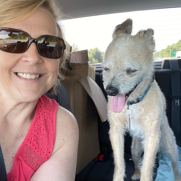 Meet your Posher, Jan - Picture 2 of 3